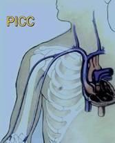 3815987988e2e5ab0adc7792889d56d0