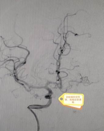 e18d0216cc52e38d359a4be9fc10ef1