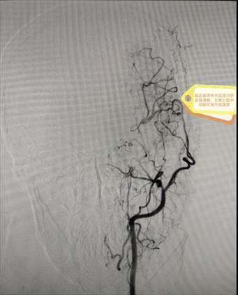 4e0f58a2851175c25ba8553546c65de